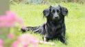 Hayo in Drenthe (19)